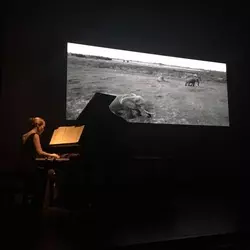 Hélène Assemat professeure de piano à Castres